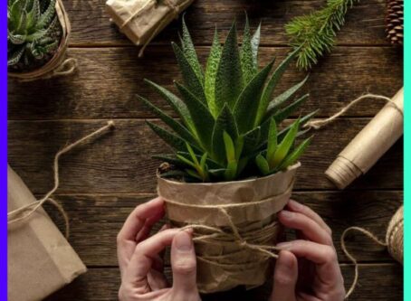 14 Gifts Ideas for Plant Lovers That Go Above and Beyond More Plants